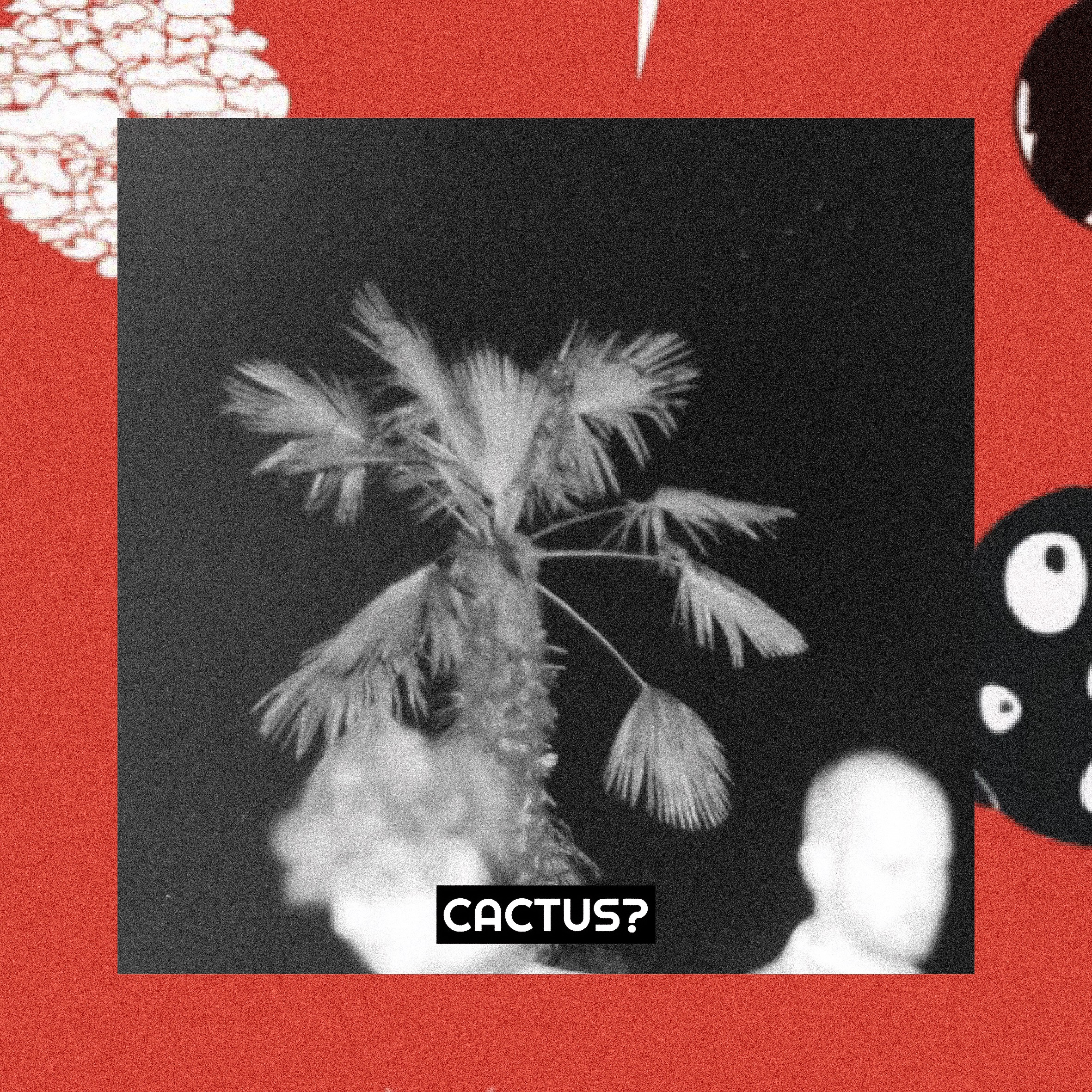 CACTUS?