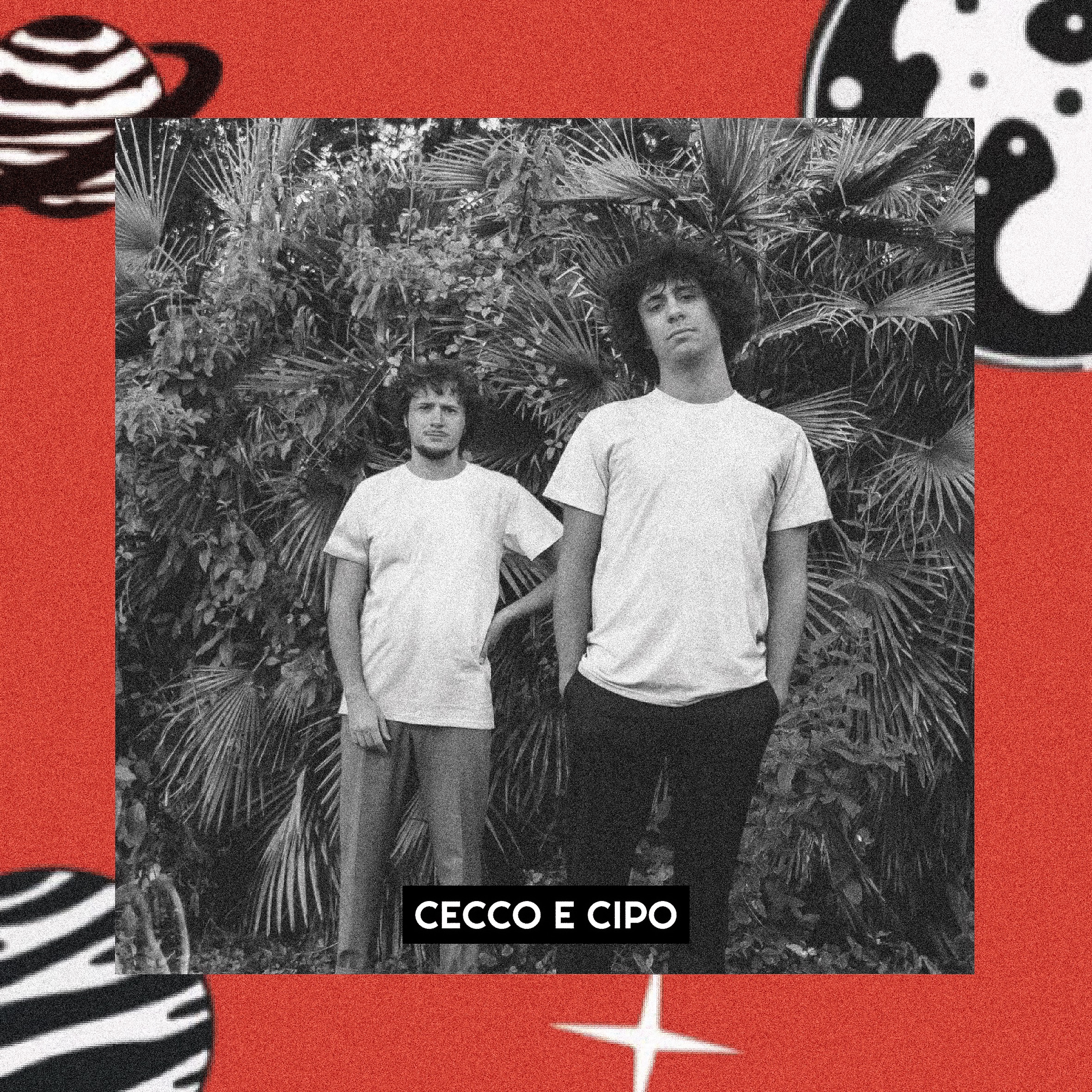 CECCO E CIPO